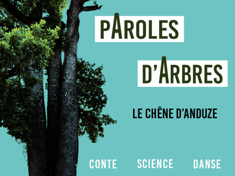 illustration Paroles d'Arbres