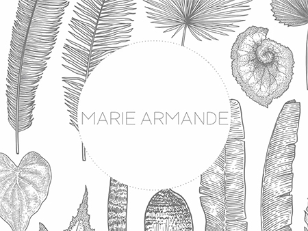 Illustration visuel Marie Armade