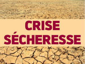 illustration crise sécheresse