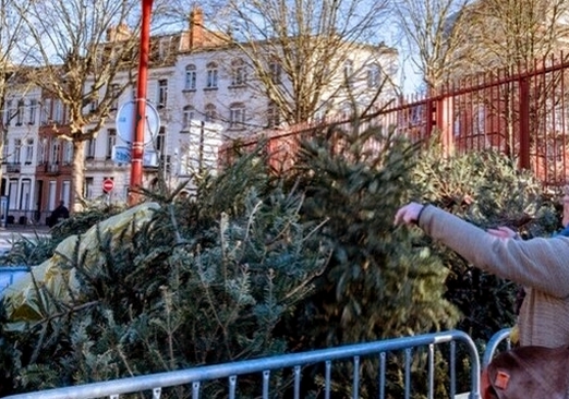 collecte sapins de noël