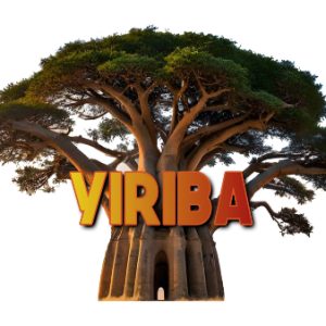 LOGO YIRIBA 2