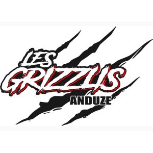 vignette carrée grizzlis