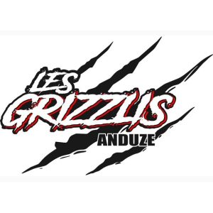vignette carrée grizzlis