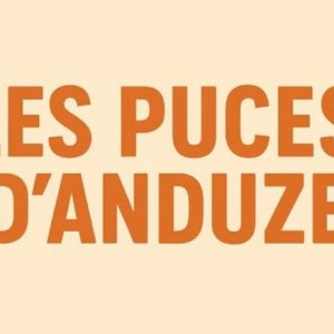 vignette puces d'anduze