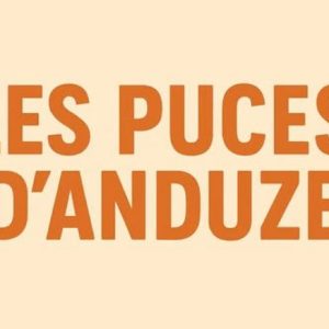 vignette puces d'anduze